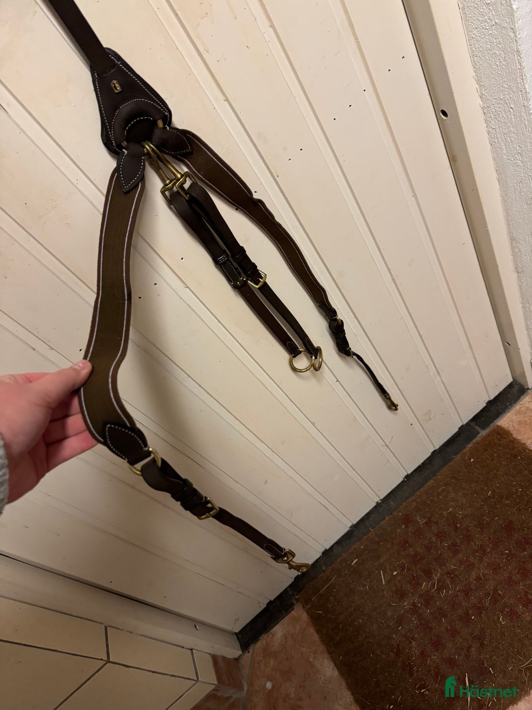 Träns hästutrustning till salu: Oanvänd förbygel  i Hörby - Annons 1