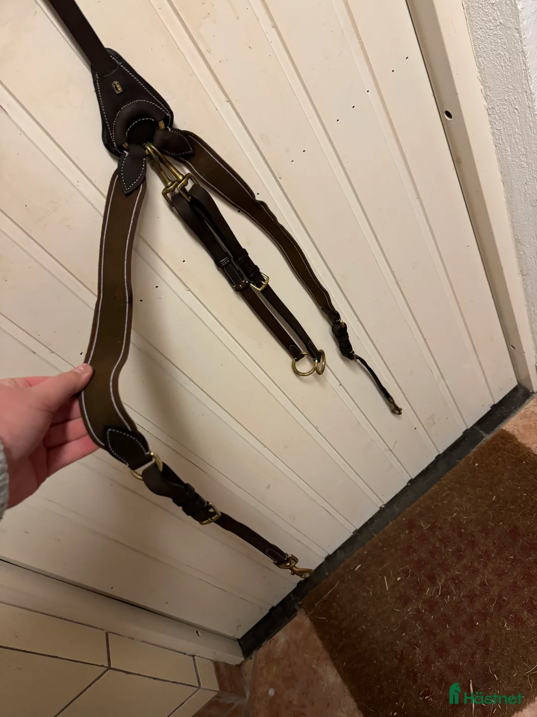 Träns hästutrustning till salu: Oanvänd förbygel  i Hörby - Annons 1