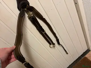 Träns hästutrustning Oanvänd förbygel i Hörby - Annons 22