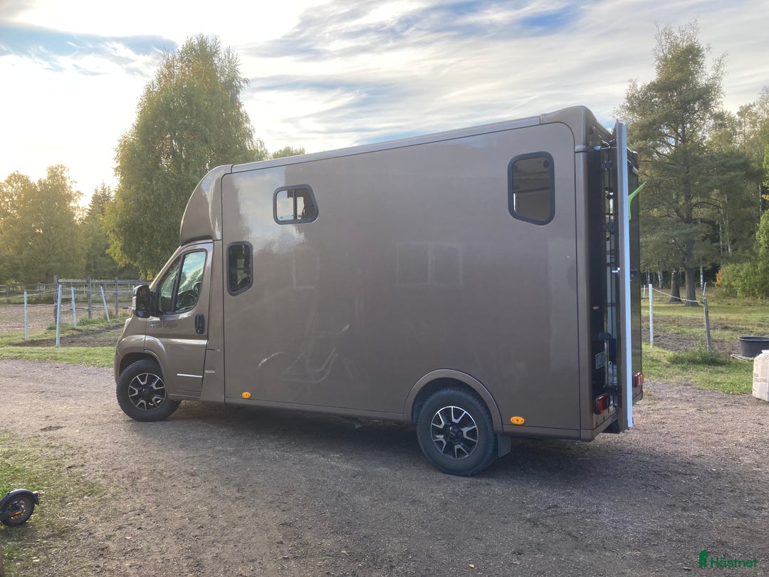 Hästlastbilar  fordon & transport till salu: Hästbuss B-kort i Karlstad - Annons 3