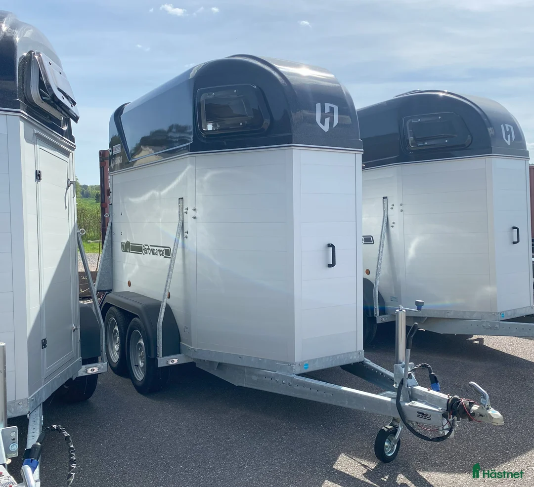Hästtransporter  fordon & transport till salu: Robust 1,5-hästars med hög lastvikt - Annons 1