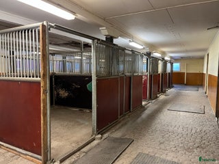 hästgårdar till salu: Stallplats uthyres Stjärnhov i Stjärnhov - Annons 4
