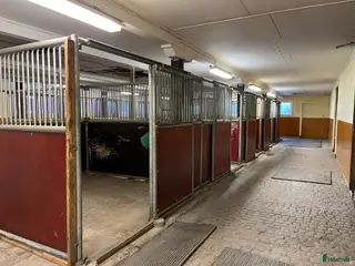 hästgårdar till salu: Stallplats uthyres Stjärnhov i Stjärnhov - Annons 13