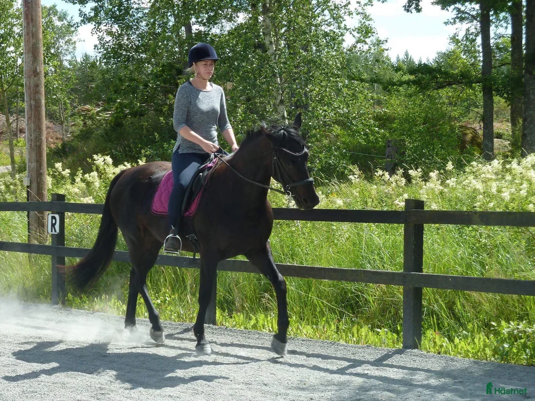 Galleribild {{count}}