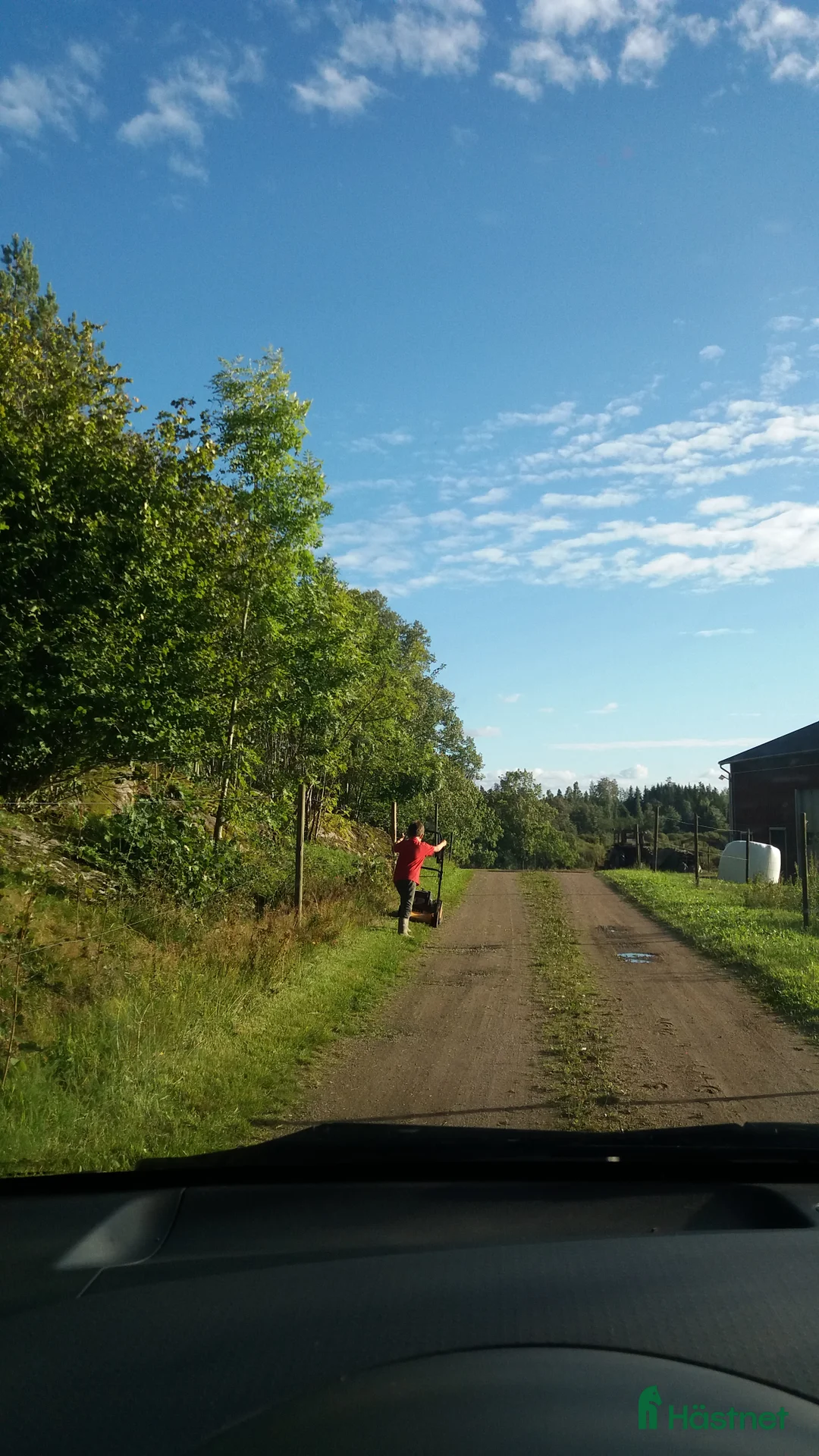  stallplats finnes: Lösdrift där hästar får vara hästar. i Tjällmo - Annons 14
