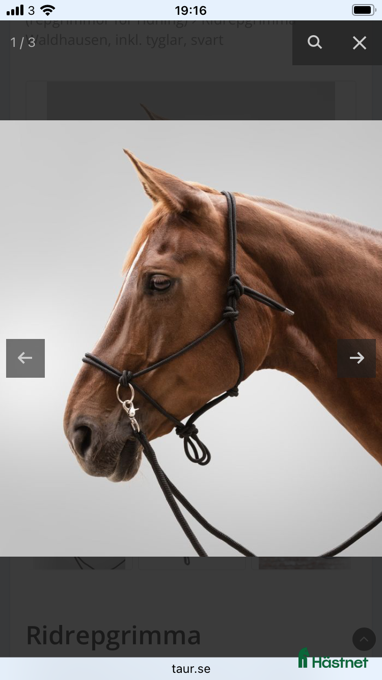 Träns hästutrustning Svart Rid Repgrimma med tyglar i Full - Annons 1