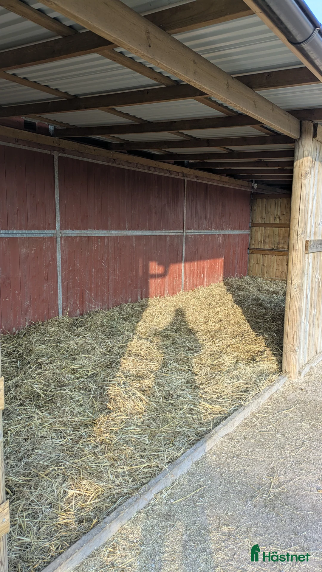  stallplats finnes: 1 ledig plats på underbar lösdrift  i Hörby - Annons 18