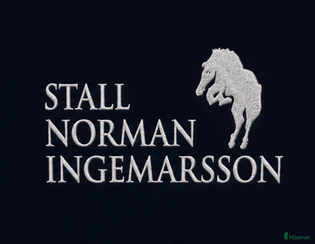  hästservice Ponny försäljning, utbildning och träning - Annons 3