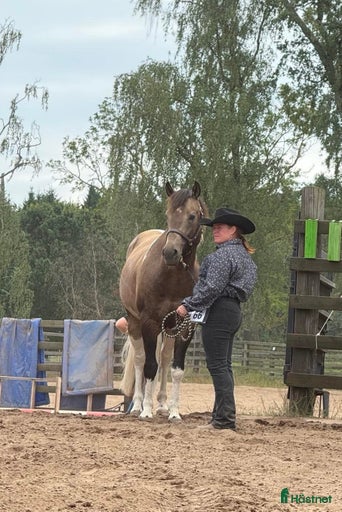 Galleribild {{count}}