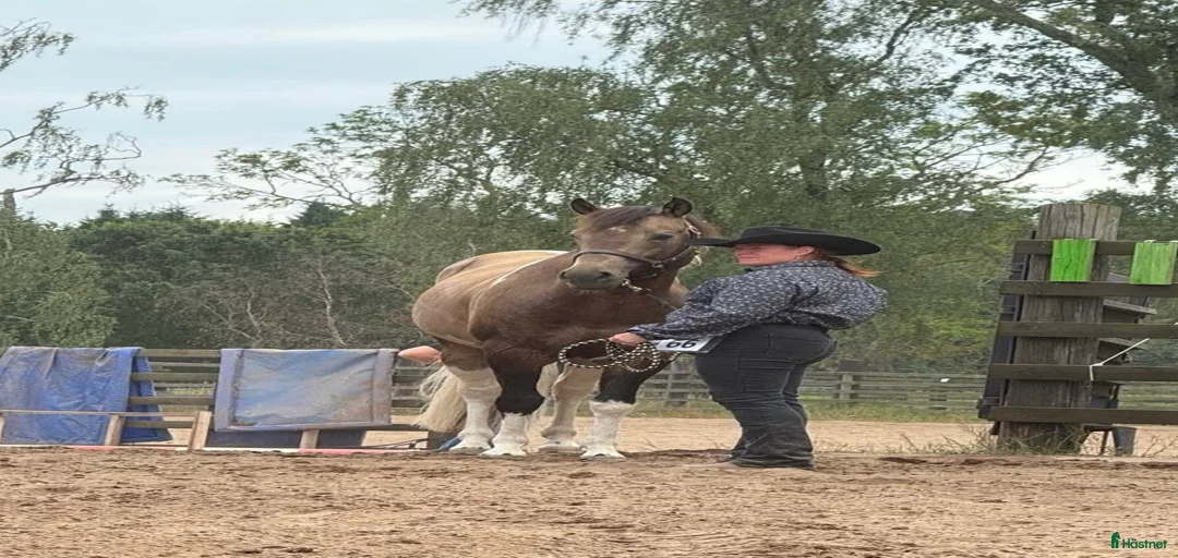 Galleribild {{count}}