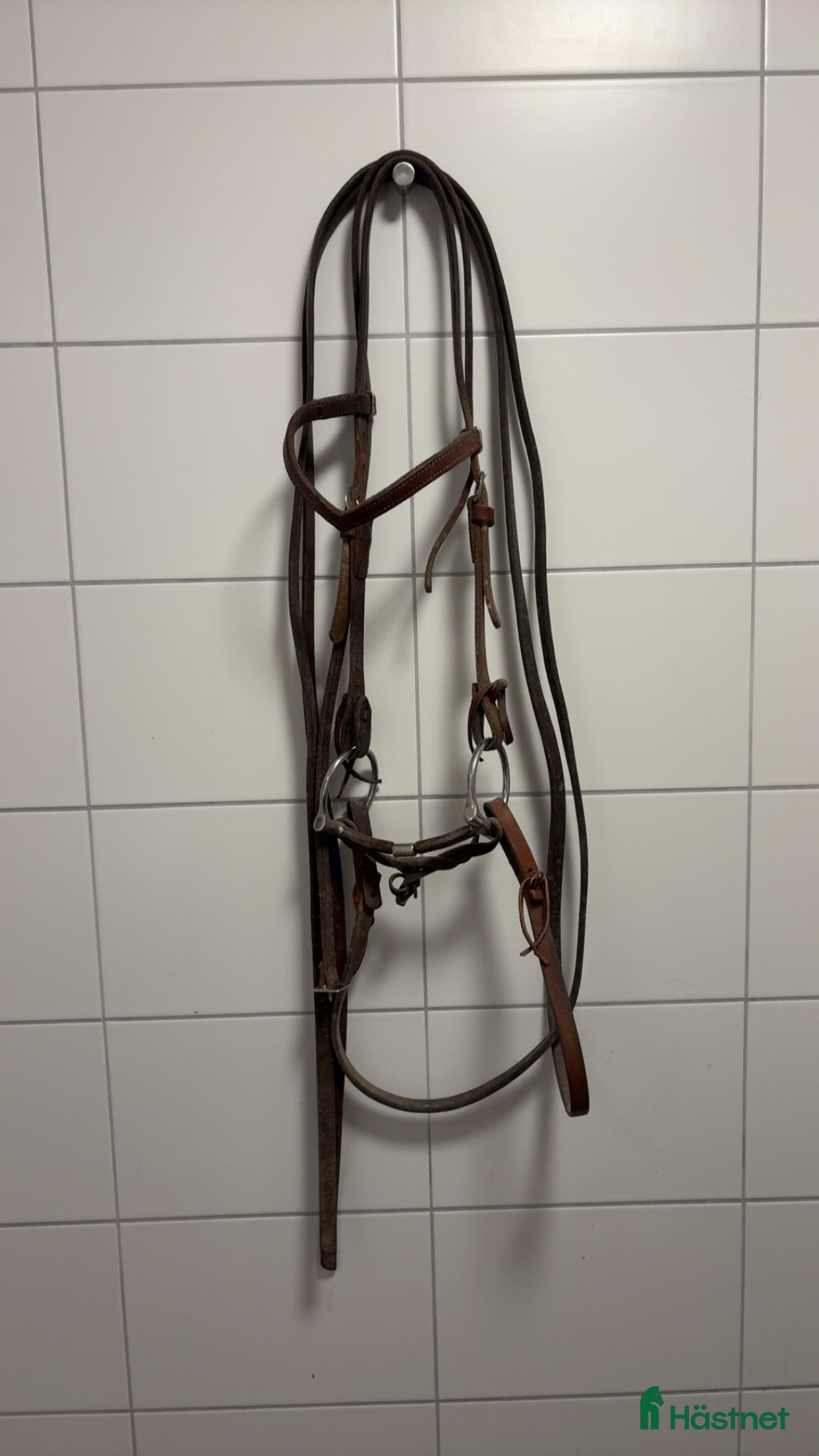 Träns hästutrustning till salu: Träns  i Nyköping - Annons 20