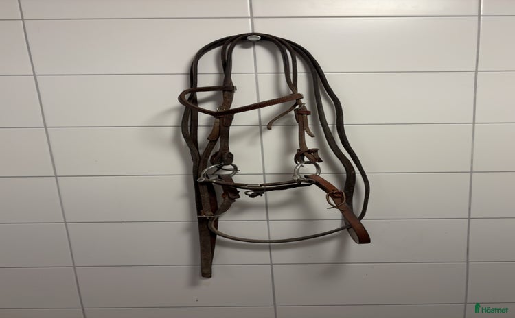 Träns hästutrustning till salu i Nyköping - Annons 8