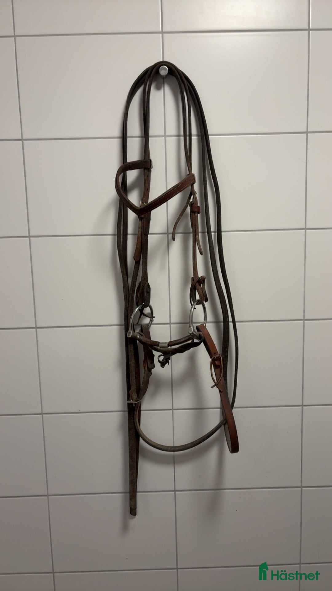 Träns hästutrustning till salu: Träns  i Nyköping - Annons 1