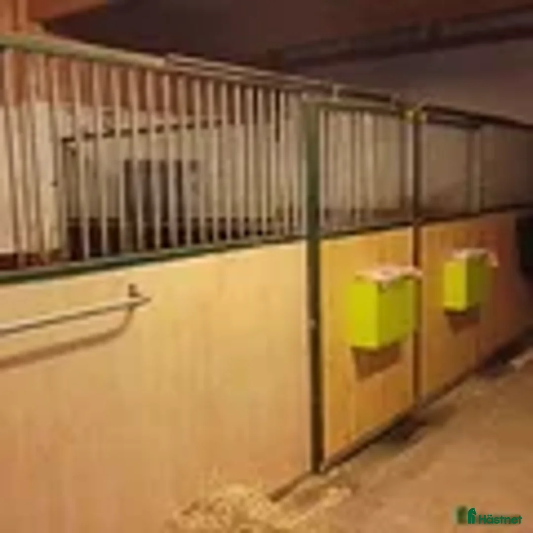 Övrig Hästutrustning hästutrustning till salu: säljer allt till häst i Märsta - Annons 1