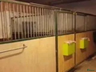 Övrig Hästutrustning hästutrustning till salu: säljer allt till häst i Märsta - Annons 1