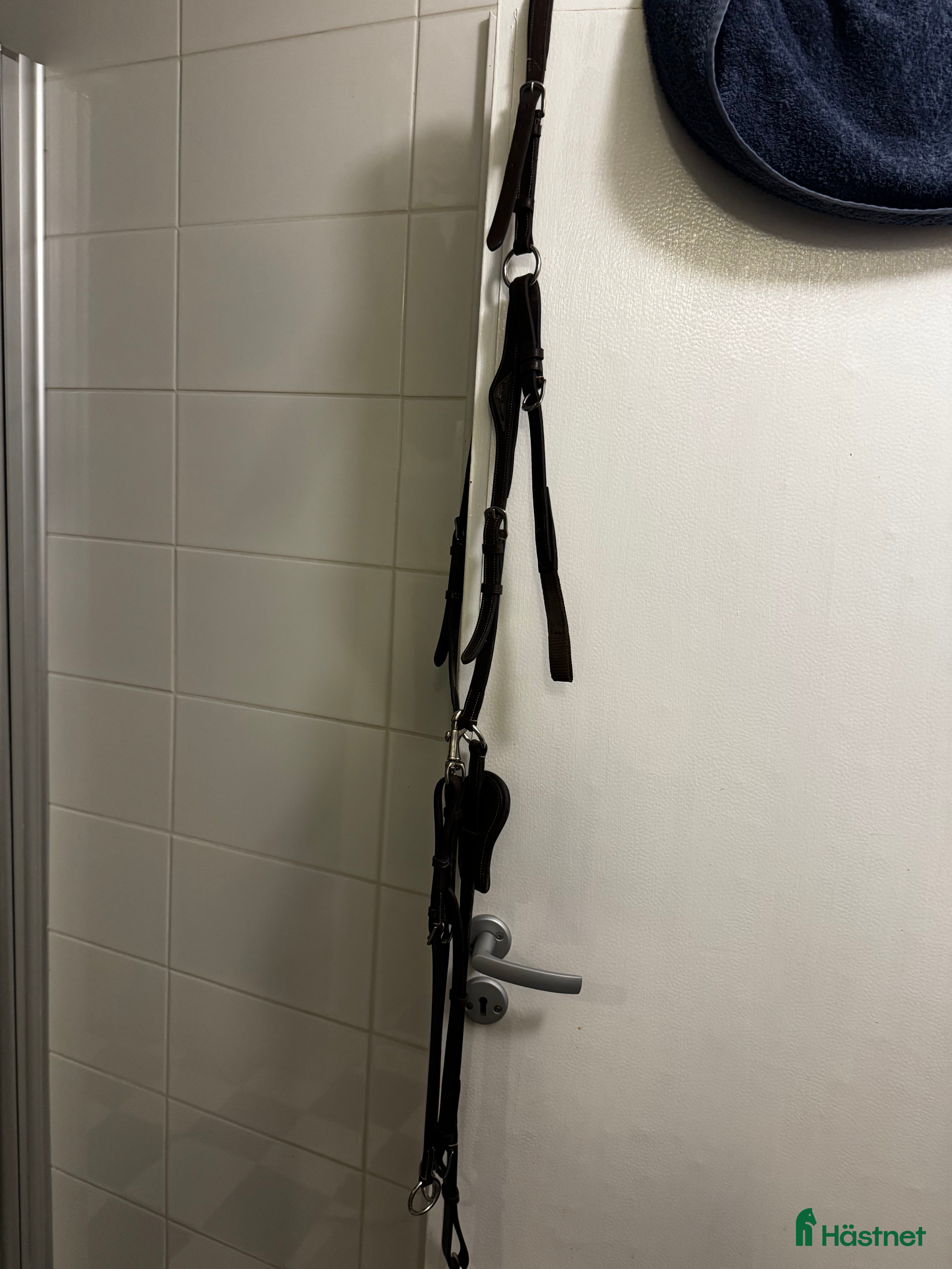 Sadeltillbehör hästutrustning till salu: Equiline förbygel i Kimstad - Annons 1