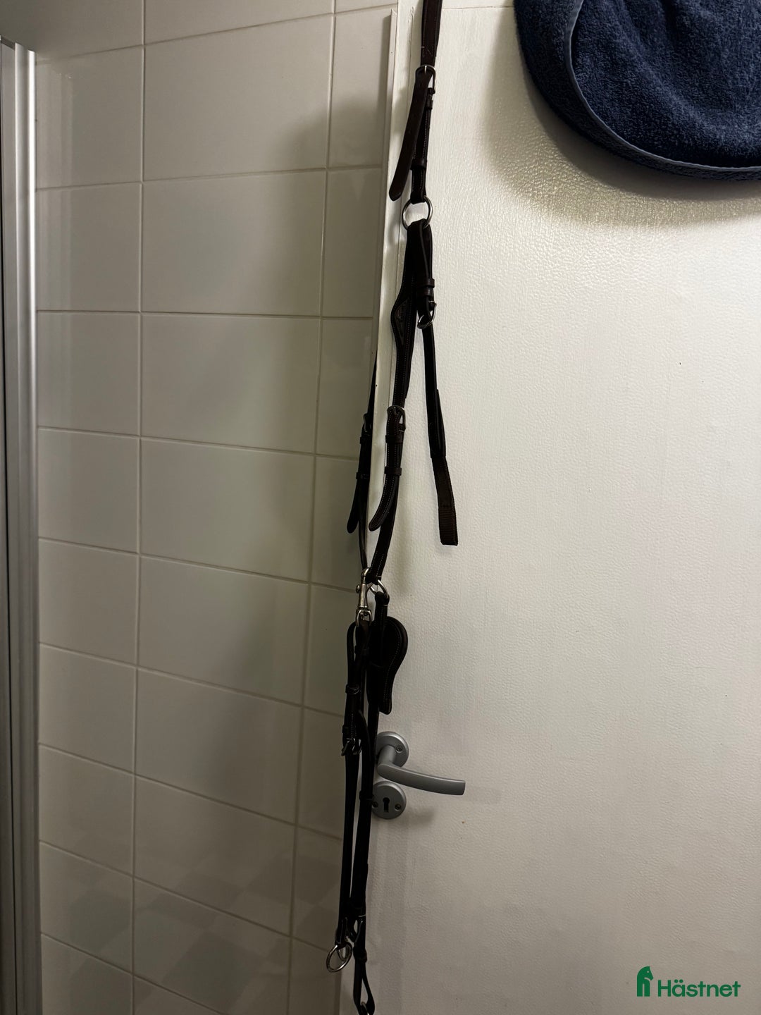 Sadeltillbehör hästutrustning till salu: Equiline förbygel i Kimstad - Annons 1