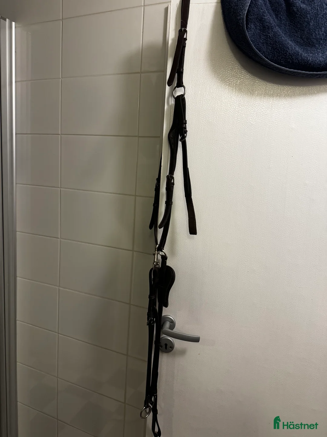 Sadeltillbehör hästutrustning till salu: Equiline förbygel i Kimstad - Annons 1