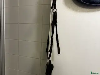 Sadeltillbehör hästutrustning Equiline förbygel i Kimstad - Annons 4