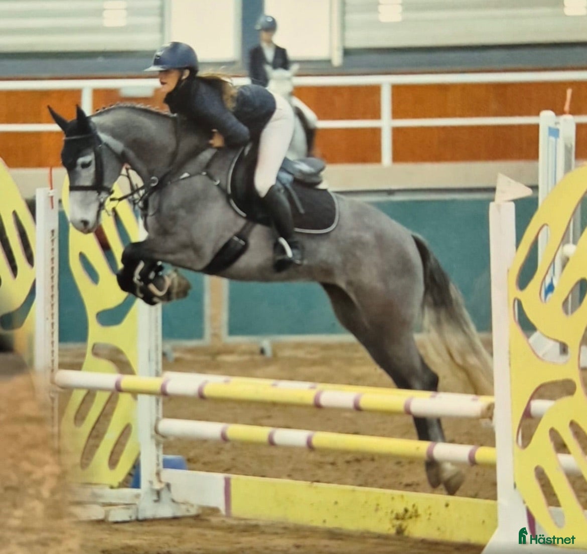  hästar Jumping ponies  - Annons 1