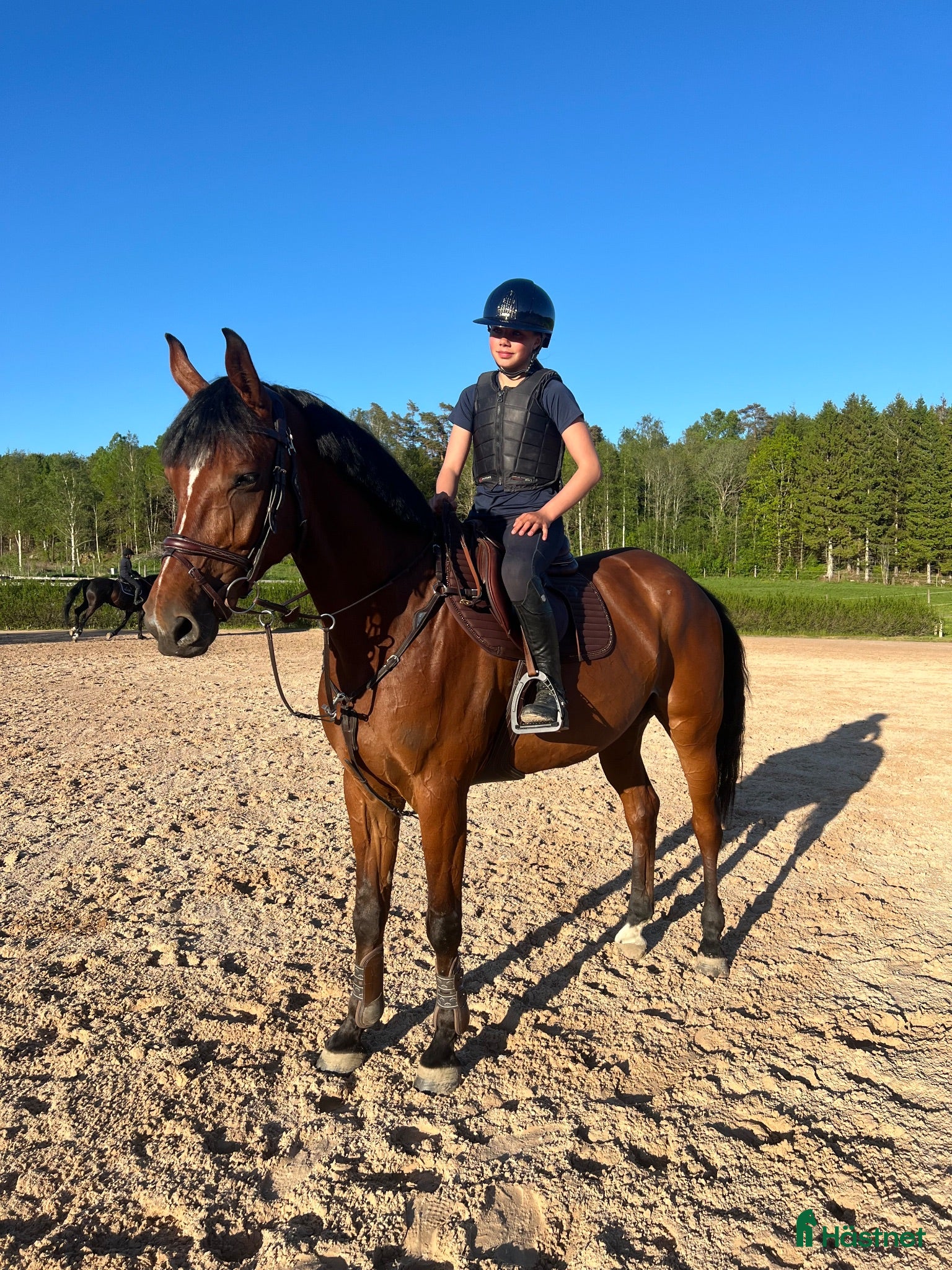  hästar Allan söker sin bästa vän - Annons 18