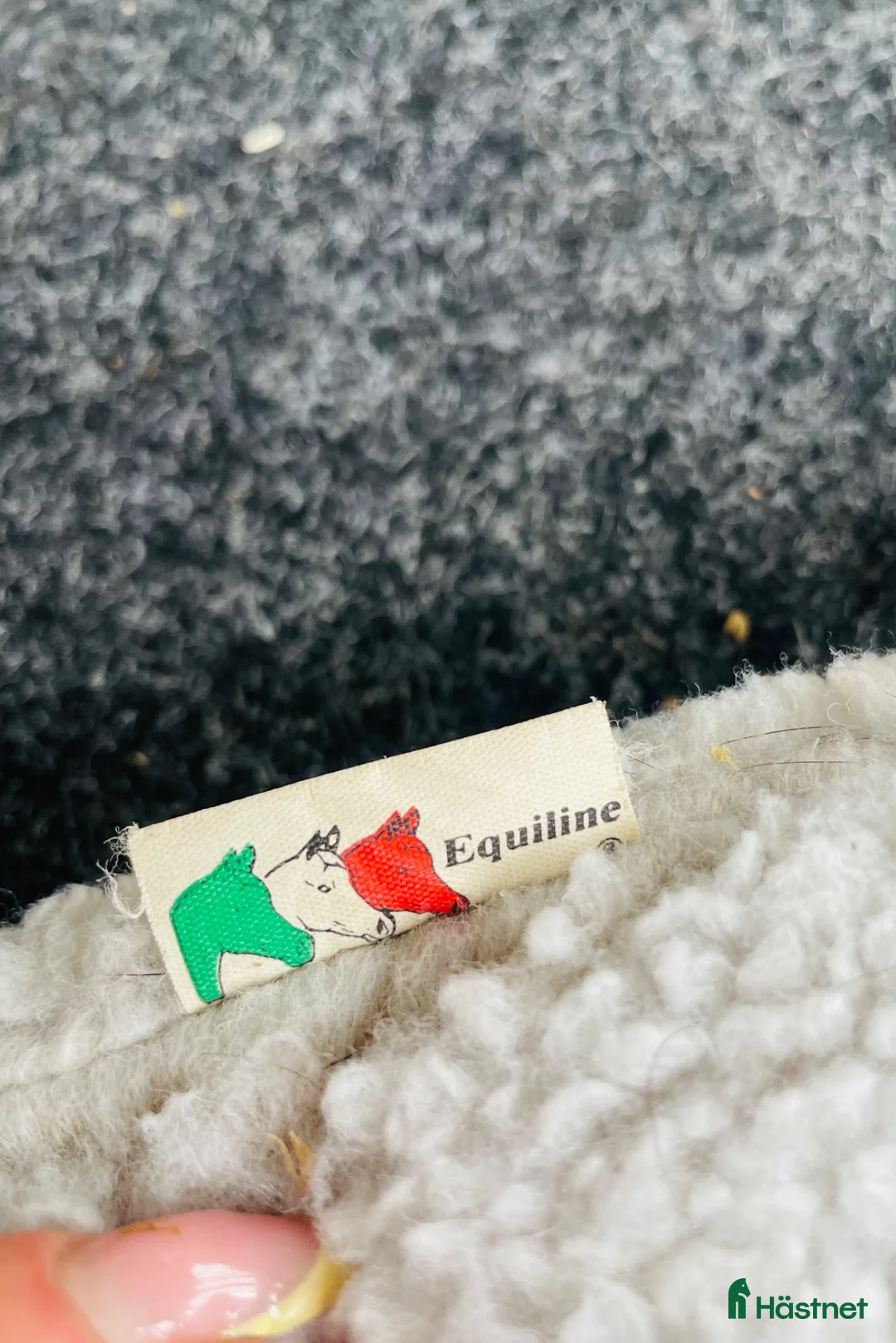 Övrig Hästutrustning hästutrustning till salu: Equiline padd - Annons 2