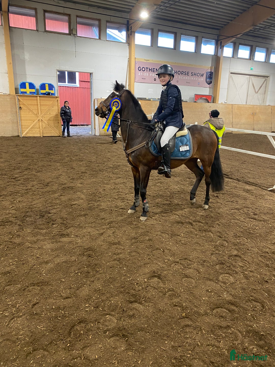 Hoppning hästar till salu: Rosett plockare i Sala - Annons 6