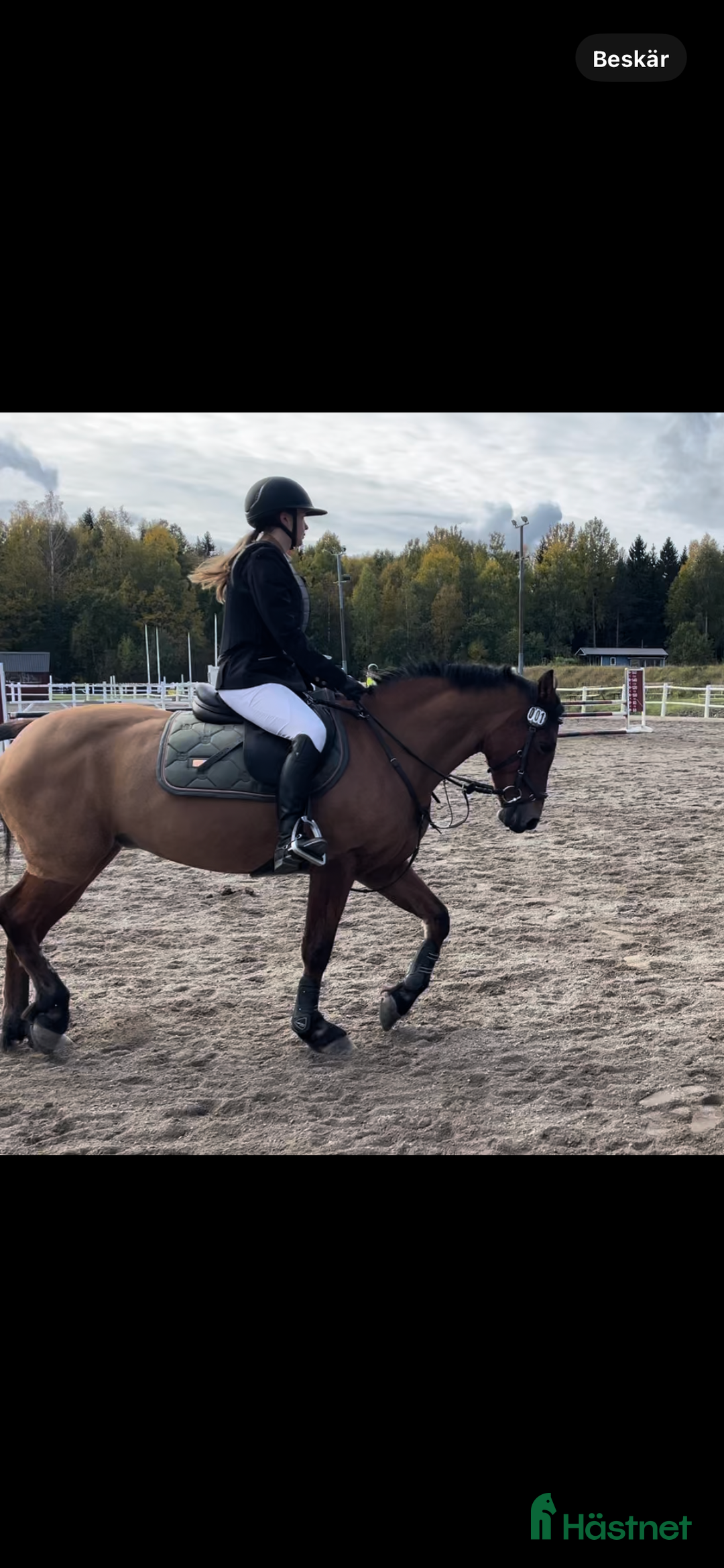 Hoppning hästar till salu: Supersnäll D-ponny i Kungsängen - Annons 7