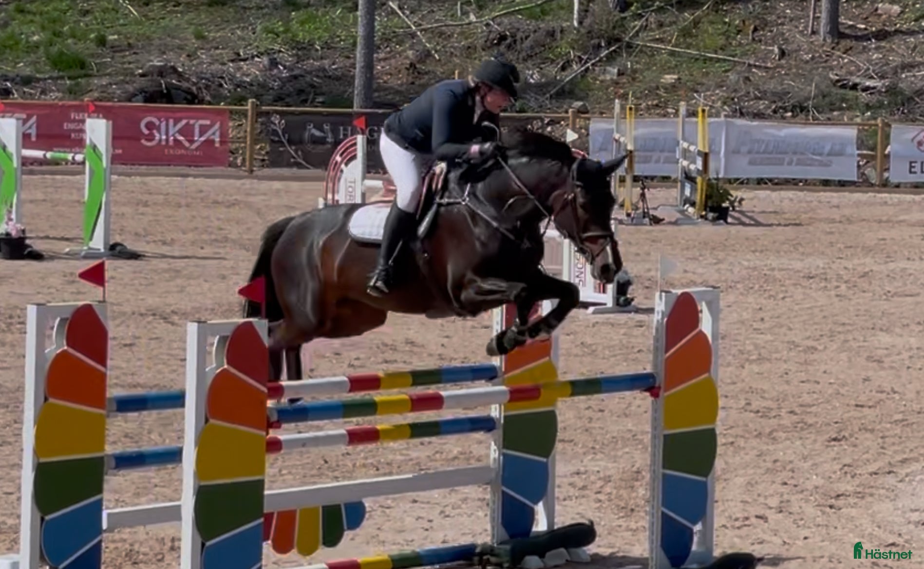  hästar Trevligt SWB-sto i Kumla - Annons 18