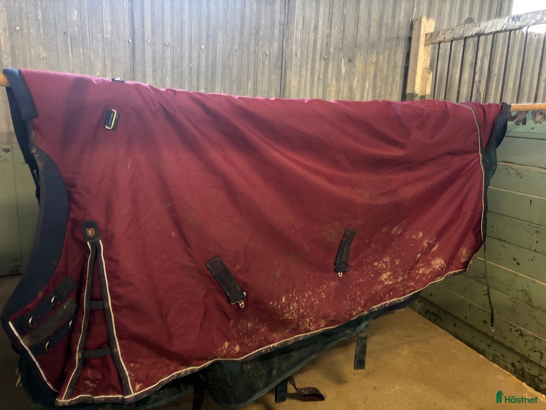 Täcken hästutrustning till salu: Två täcken 50gr i Täby - Annons 3