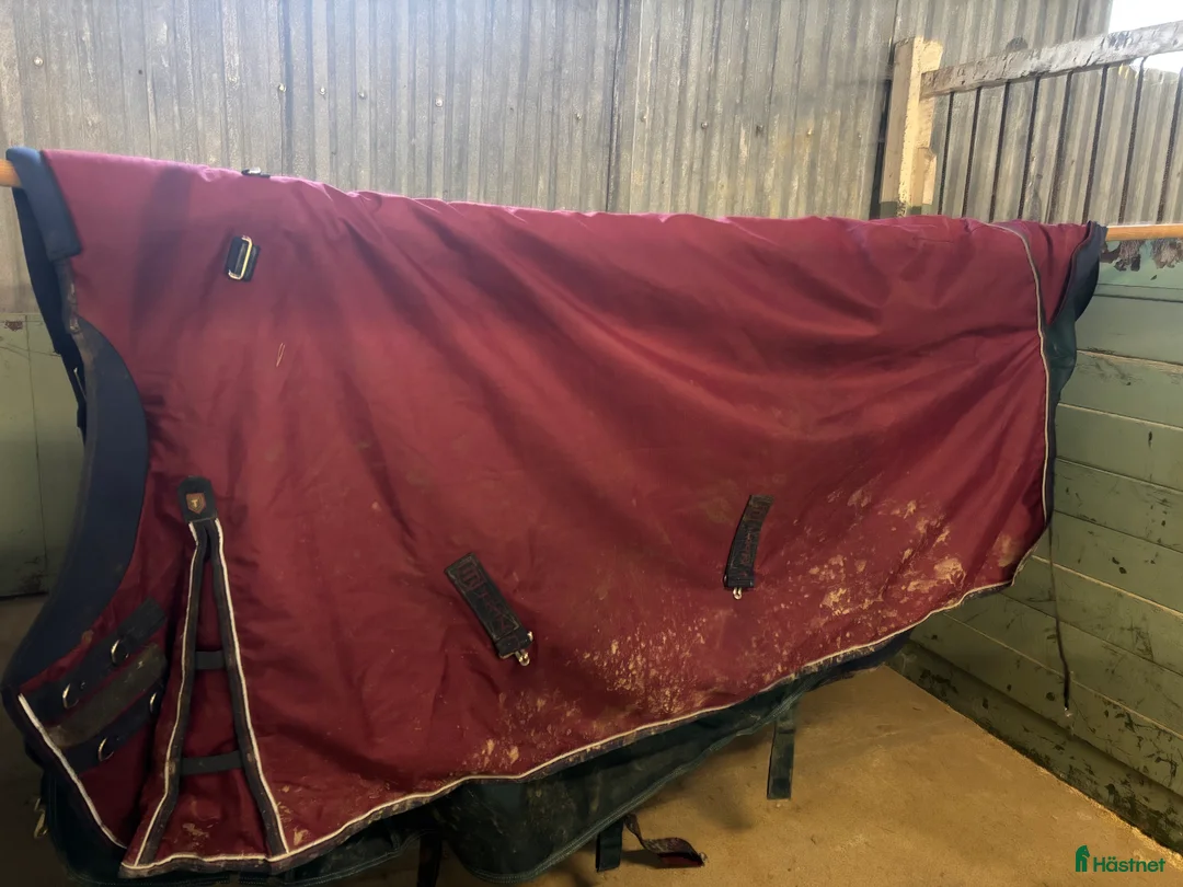 Täcken hästutrustning till salu: Två täcken 50gr - Annons 3