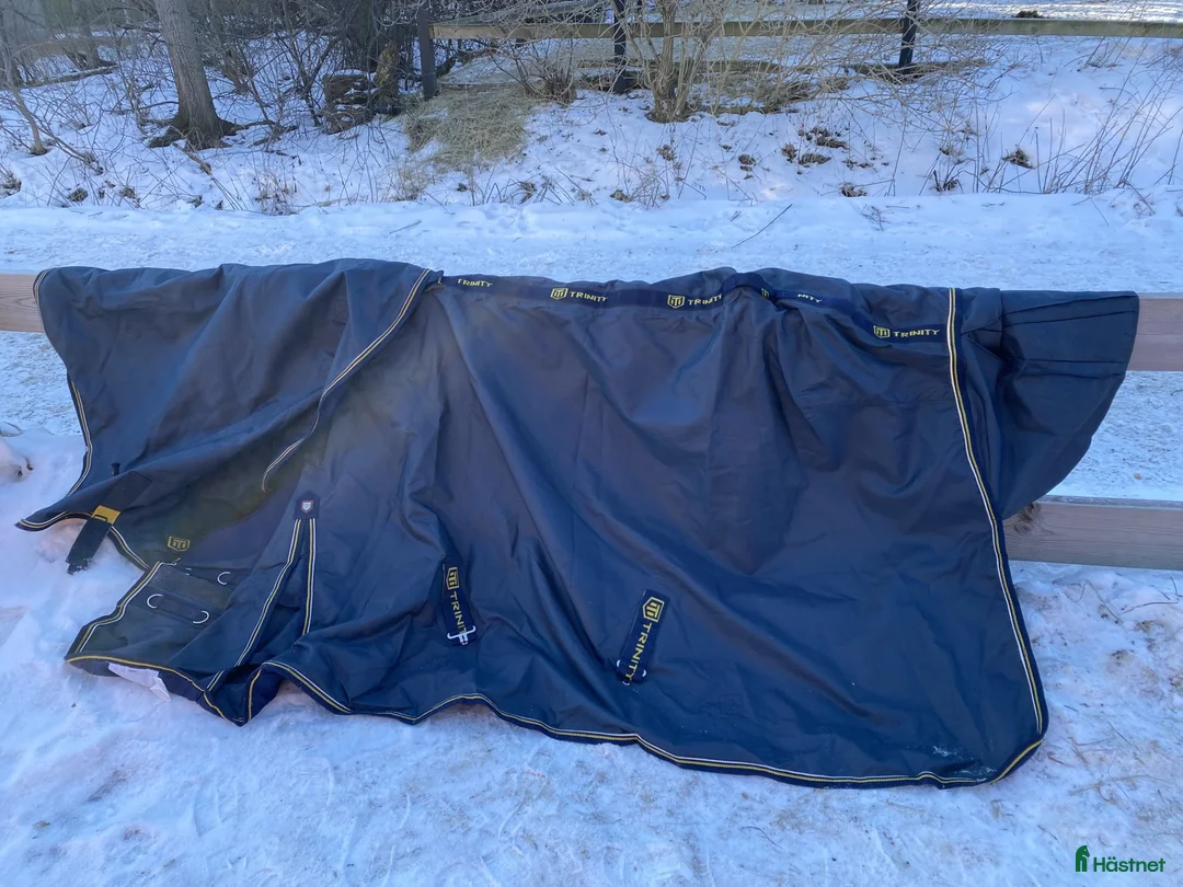 Täcken hästutrustning till salu: Trinity Ultimate 50 regntäcke med avtagbar hals - Annons 2