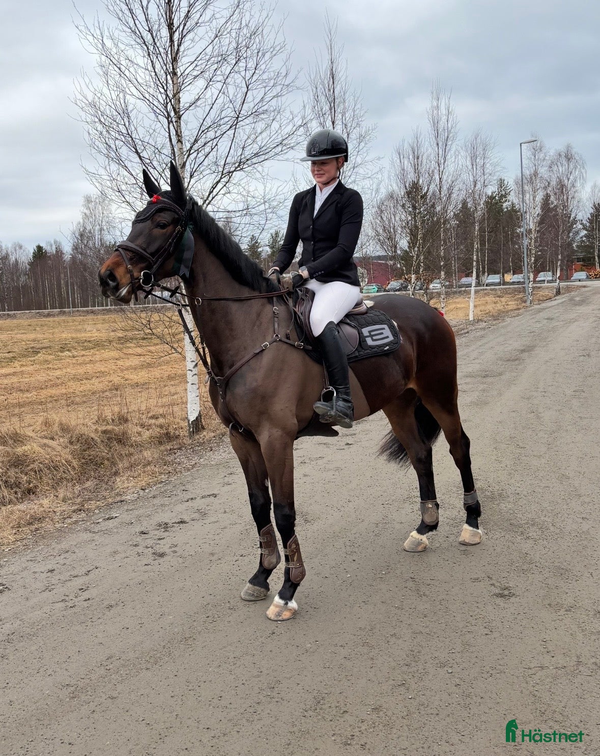  hästar Fint SWB sto -20 i Djurås - Annons 2