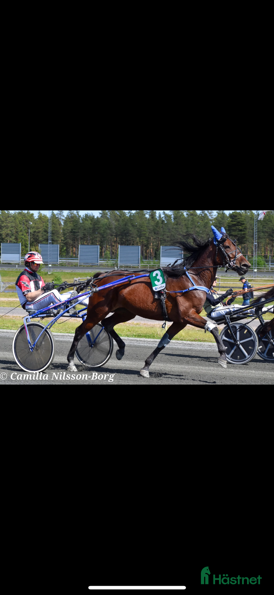 Trav hästar till salu: Starthäst med kapacitet  i Vänersborg - Annons 1