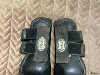 Benskydd hästutrustning söta ponny benskydd i Borlänge - Annons 1