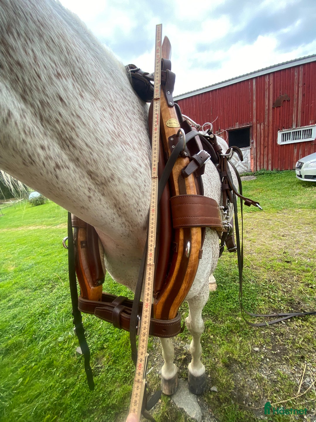 Körselar körning till salu: Komplett nästan ny Svenljunga sele med huvudlag i Kungälv - Annons 17