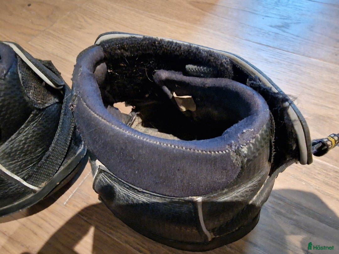 Övrig Hästutrustning hästutrustning till salu: Equine Fusion Active jogg i Tumba - Bild 4