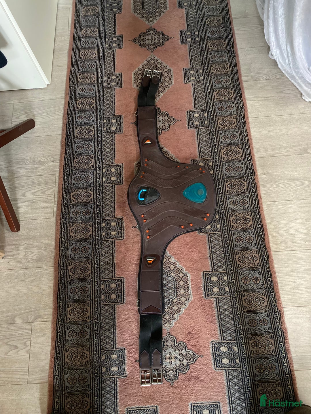 Övrig Hästutrustning hästutrustning till salu: Häst och ryttarutrustning till salu⭐️ i Grimeton - Annons 5