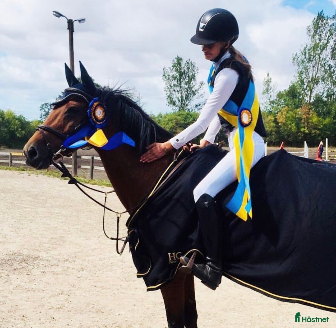  foderhäst Utlånas på livstid sällskap/hobbyridning - Annons 1