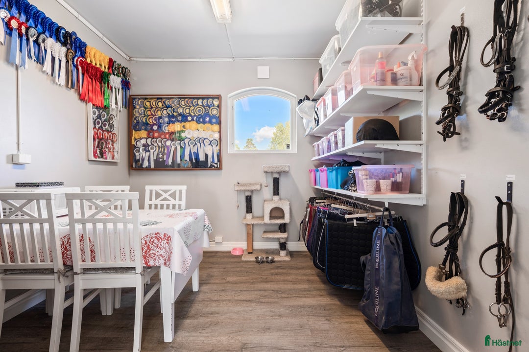  stallplats finnes: En ledig boxplats i litet stall i Brottby - Annons 2