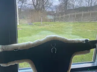 Sadeltillbehör hästutrustning Lippo hopp sadel gjord - Annons 2