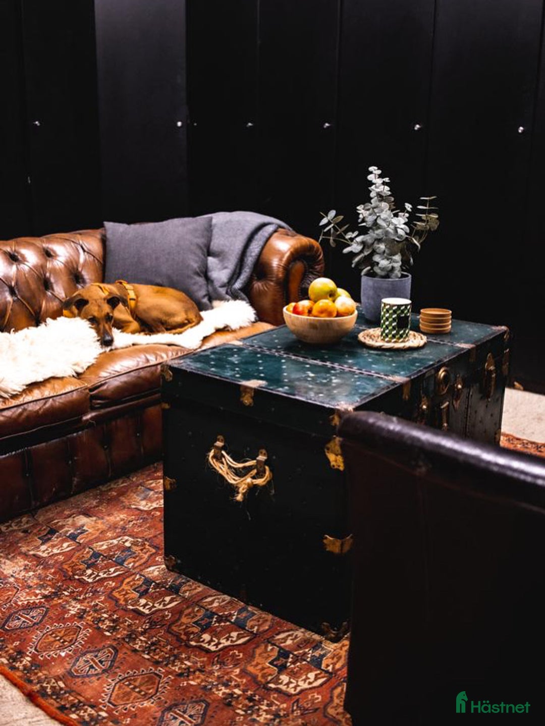  stallplats finnes: Fullservice alla dagar året om i Märsta - Annons 4