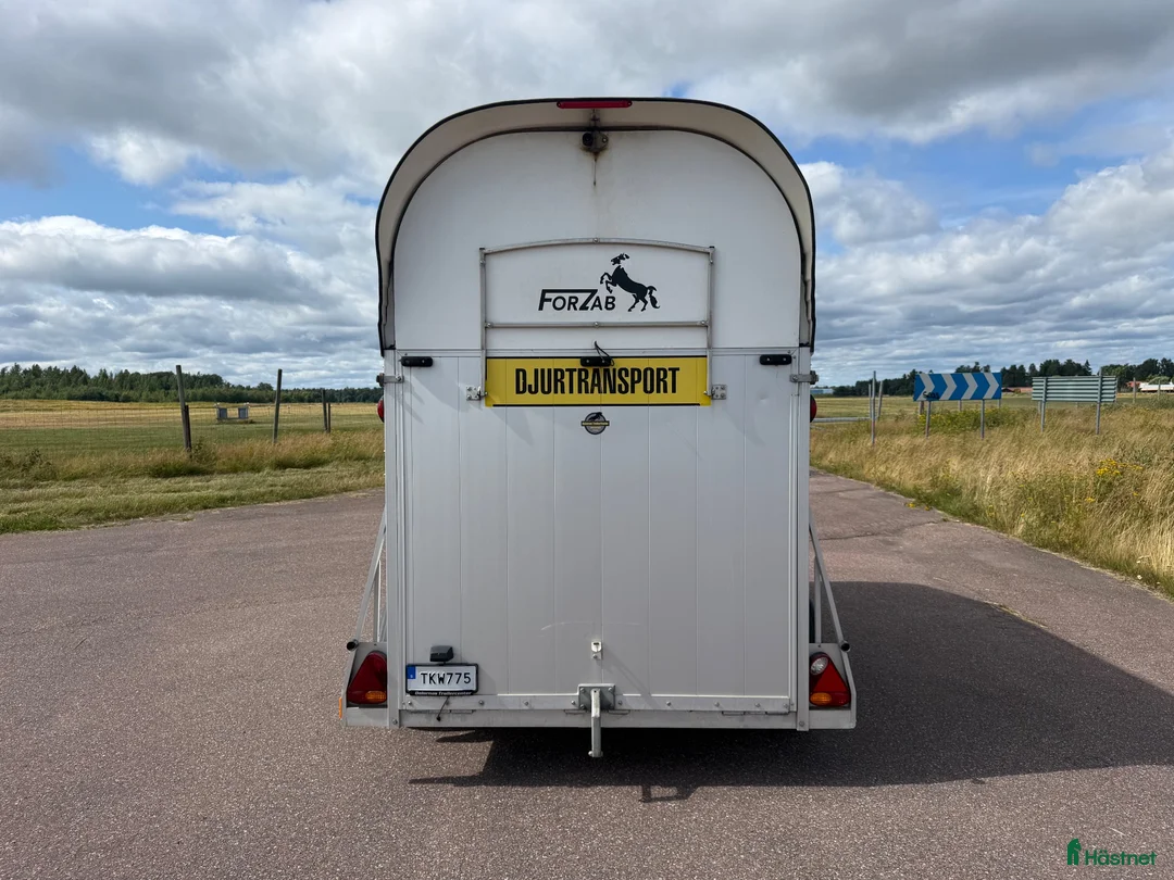Hästtransporter  fordon & transport till salu: Forzab Cavallo SEH20 -16 - Annons 4