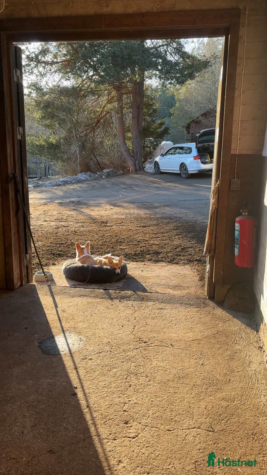  stallplats finnes: Ledig stallplats i fantastisk miljö!  - Annons 5