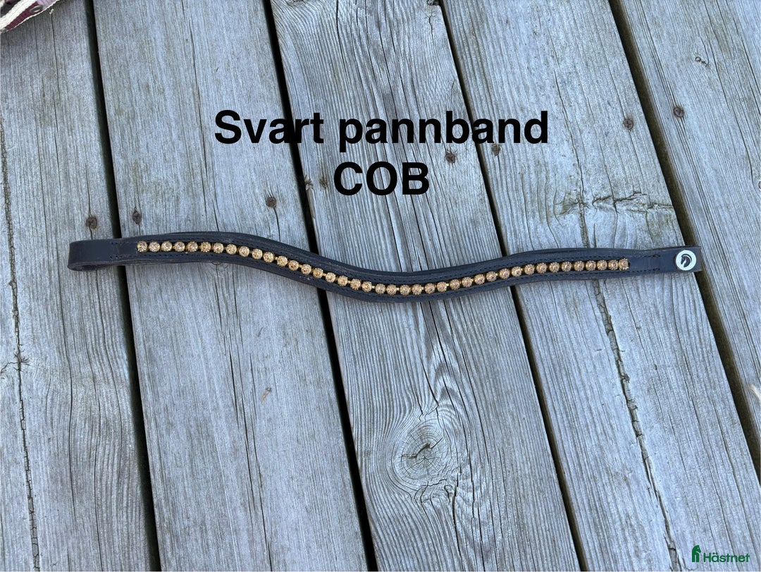 Övrig Hästutrustning hästutrustning till salu: Häst och ponny saker - Annons 8