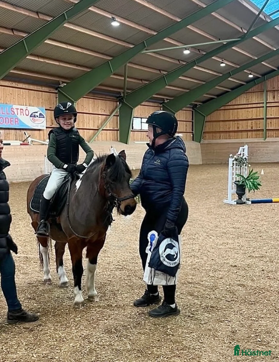 Allround hästar till salu: Den ultimata barnponnyn  - Annons 1