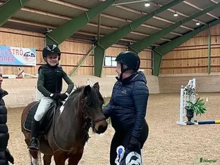 hästar Den ultimata barnponnyn - Annons 4