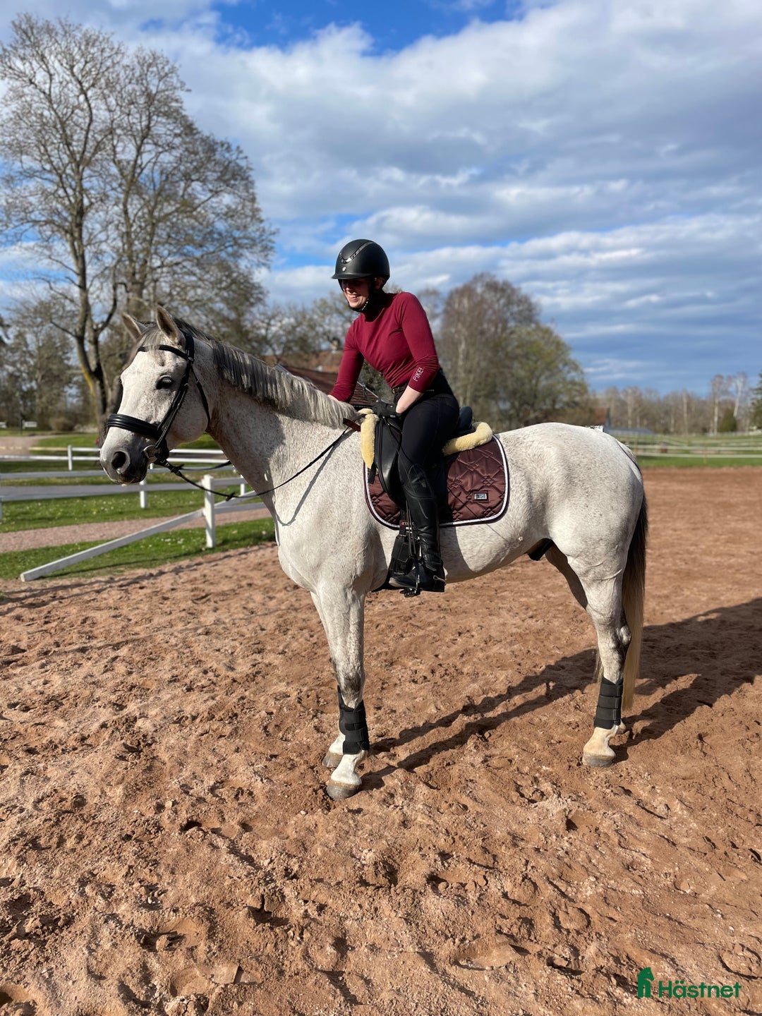 Dressyr hästar sökes: Söker dressyrhäst för träning/tävling i Kalmar - Annons 1