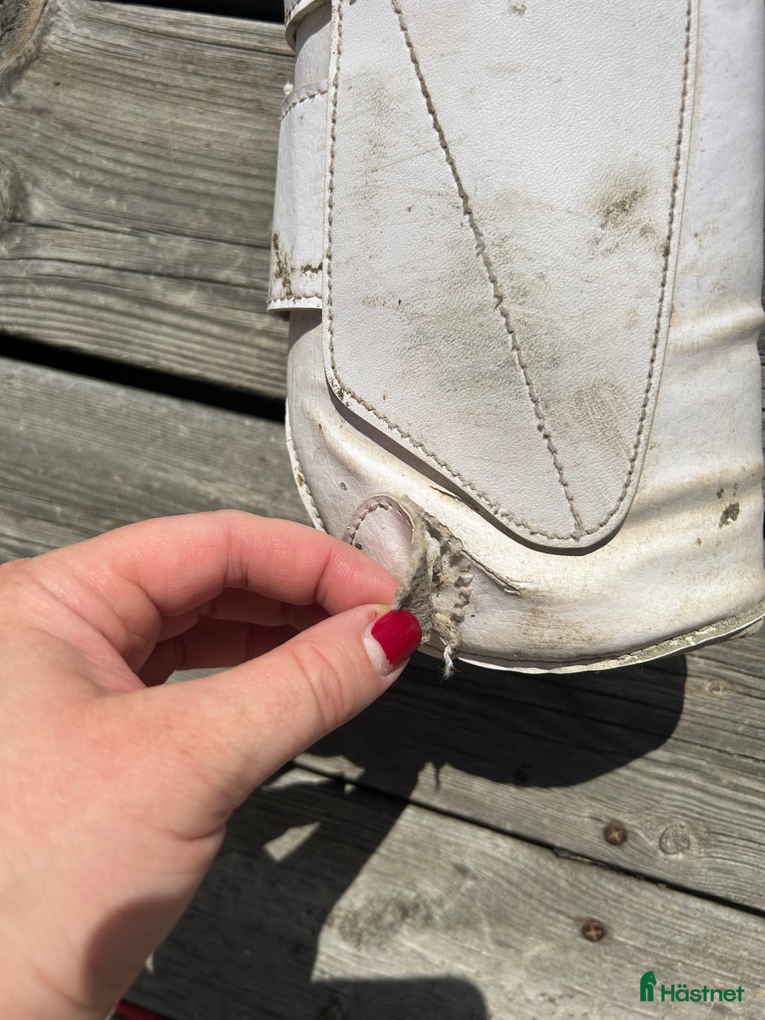 Benskydd hästutrustning till salu: Dressyrskydd från Tekna i Sala - Annons 2