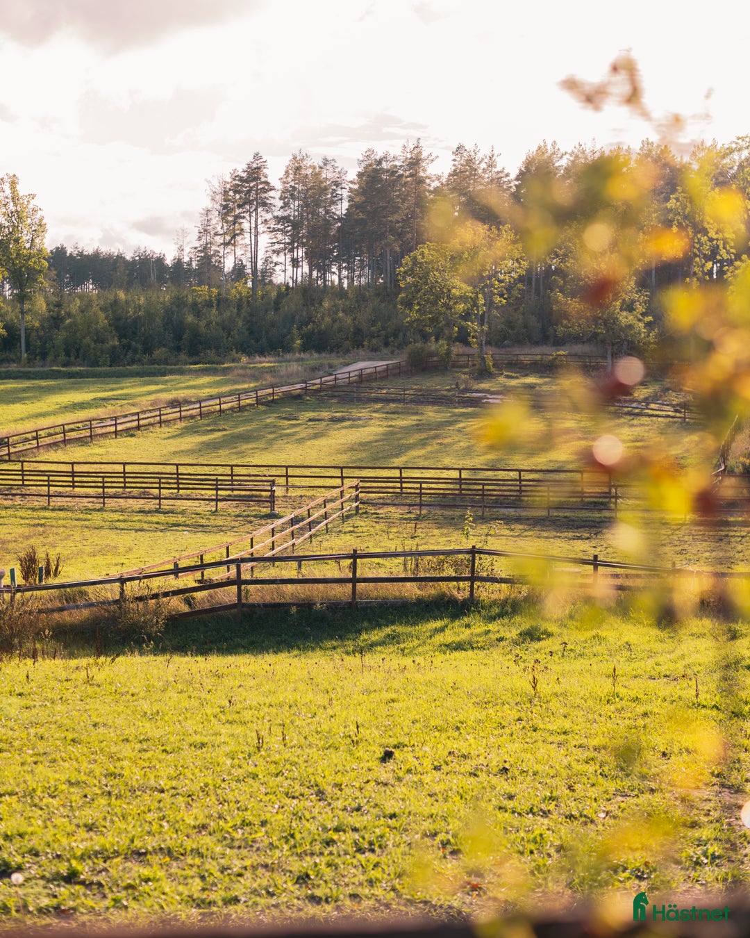  stallplats finnes: Drömläge för dig med mindre hästverksamhet⭐ i Linköping - Bild 4